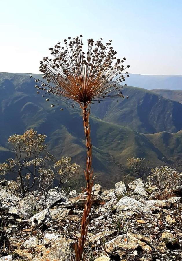 Pousada Perola Mineira Piuí Zewnętrze zdjęcie